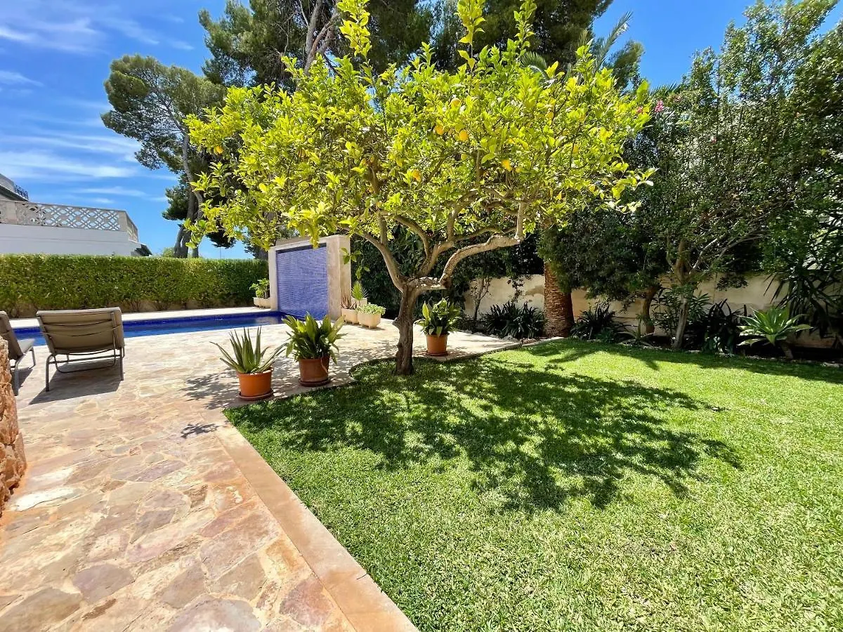 Villa Buena Vista Palmanova 0*,