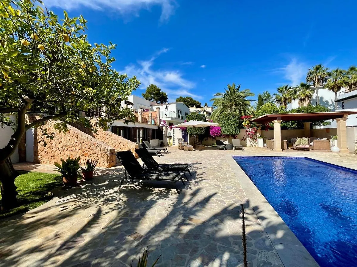 Villa Buena Vista Palma Nova   Palma Nova (Mallorca)